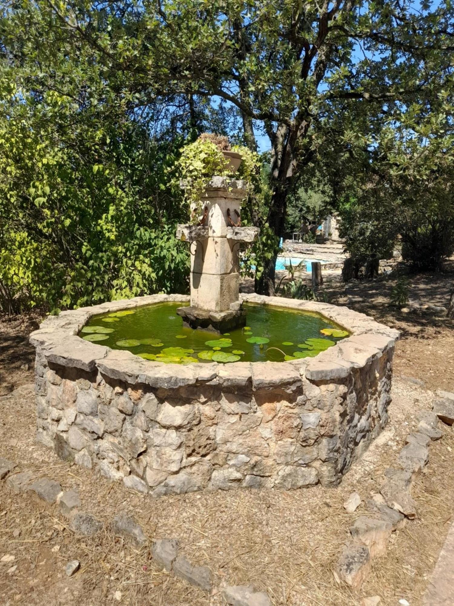 Villa L Etrier à Lorgues Extérieur photo